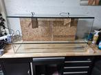 Terrarium 100x40x50 cm – Compleet met UV lamp, Dieren en Toebehoren, Ophalen, Zo goed als nieuw