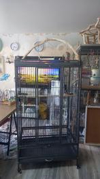 Ara papegaai vogels kooi, Dieren en Toebehoren, Ophalen, Zo goed als nieuw, Metaal, Vogelkooi