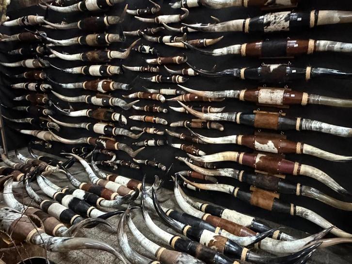 Hoorns longhorn texas mancave bullbar western longhoorn, Verzamelen, Dierenverzamelingen, Nieuw, Gewei of Kop, Wild dier, Ophalen