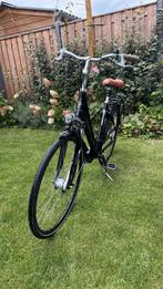 Pegasus Salerno Damesfiets, Fietsen en Brommers, Fietsen | Dames | Damesfietsen, 53 tot 56 cm, Versnellingen, Zo goed als nieuw