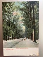 Den Haag, Ingang Haagse Bos, Verzenden, Voor 1920, Zuid-Holland