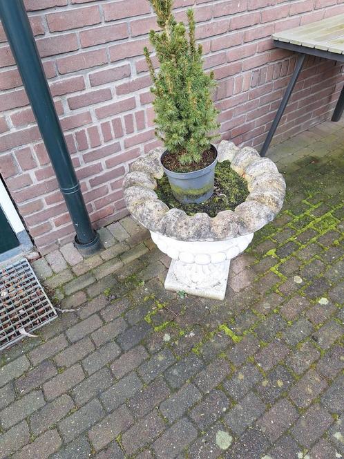 Betonnen items mooie decoratieve partij beton., Tuin en Terras, Tegels en Klinkers, Gebruikt, Terrastegels, Beton, 10 m² of meer