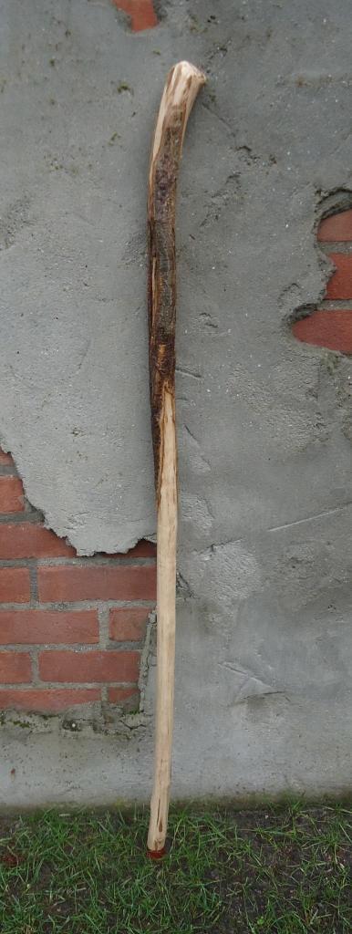 WANDELSTOK - Pieter pad  - unieke begroeiingen -  ( 15 ), Sport en Fitness, Bergsport en Wandelen, Nieuw, Wandelstok, Ophalen of Verzenden