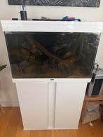 Ciano 80 cmaquarium met 6 piranhas, Dieren en Toebehoren, Ophalen, Leeg aquarium