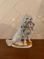 Porseleinen hoerenhondje poedel met varkentjes, Antiek en Kunst, Antiek | Porselein, Ophalen of Verzenden