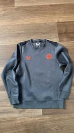 Sweater feyenoord maat 158, Maat XS of kleiner, Ophalen of Verzenden, Gebruikt, Shirt