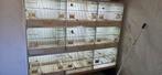 Gehu kweekkooi / kweekstelling, Dieren en Toebehoren, Vogels | Hokken en Kooien, Ophalen, Zo goed als nieuw, Broedkooi of Kweekkooi