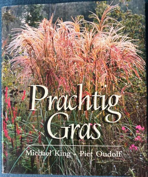 Prachtig gras .  Piet Oudolf Michael King., Boeken, Wonen en Tuinieren, Zo goed als nieuw, Tuinontwerpen, Ophalen of Verzenden