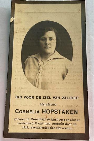 Cornelia Hopstaken Roosendaal 1929 beschikbaar voor biedingen