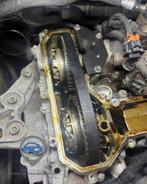 Natte distributieriem, natte riem vervangen ALLE TYPES!, Diensten en Vakmensen, Auto en Motor | Monteurs en Garages, Mobiele service