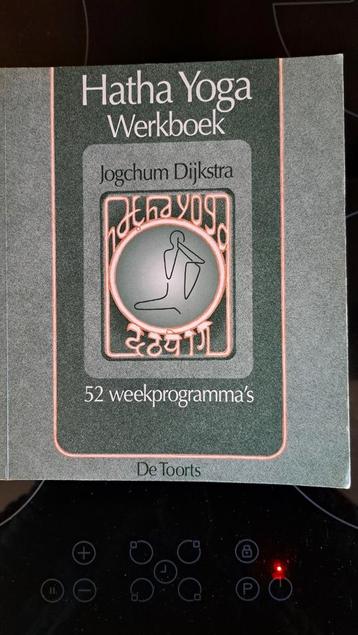 Jogchum Dijkstra - Hatha Yoga werkboek beschikbaar voor biedingen