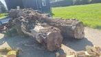 Wilg. Stam. Boomstammen.  Brandhout, Tuin en Terras, Haardhout, Minder dan 3 m³, Ophalen, Overige houtsoorten, Blokken