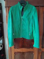 Leren ARMA jasje groen maat 40, Maat 38/40 (M), Arma, Ophalen of Verzenden, Jasje