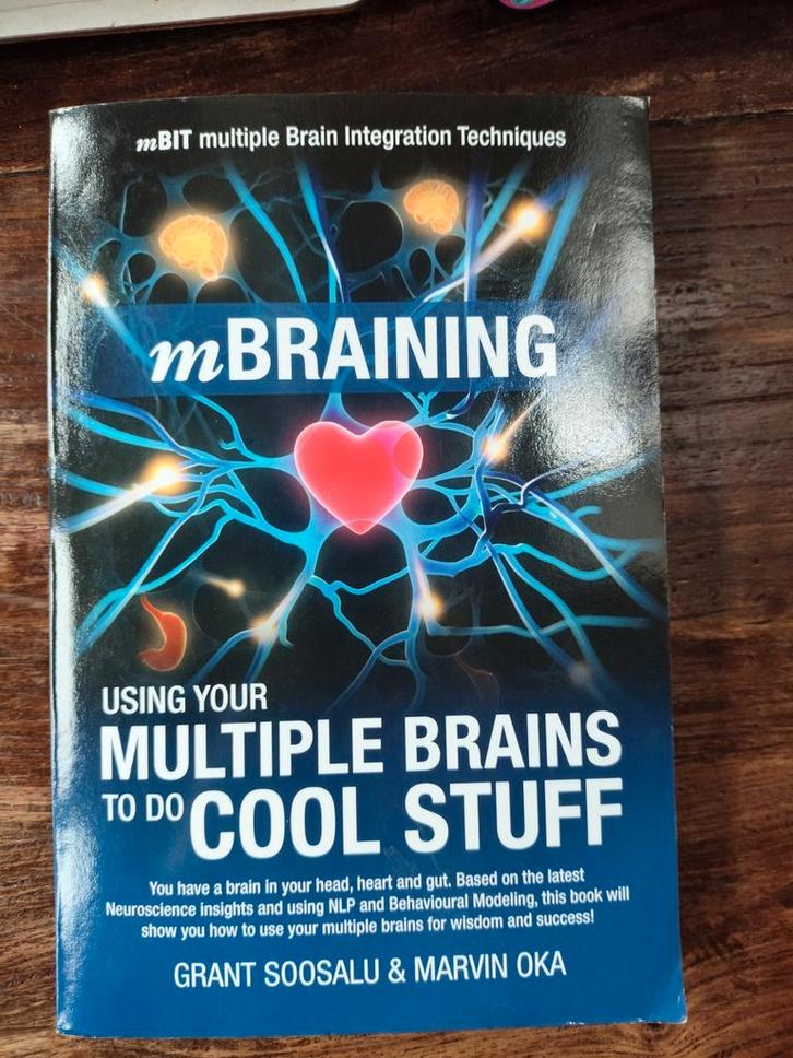 mBraining using your multiple brains to do cool stuff, Boeken, Wetenschap, Zo goed als nieuw, Sociale wetenschap, Ophalen of Verzenden