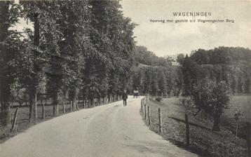 Wageningen, Veerweg met gezicht o/d Wageningschen Berg - 191 beschikbaar voor biedingen