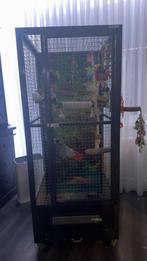 Stevige papegaaien kooi, Dieren en Toebehoren, Vogels | Hokken en Kooien, Ophalen, Zo goed als nieuw, Metaal, Vogelkooi
