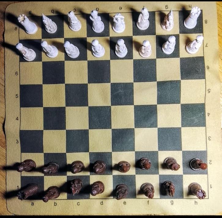 Schaakbord uniek, Hobby en Vrije tijd, Gezelschapsspellen | Bordspellen, Nieuw, Ophalen of Verzenden