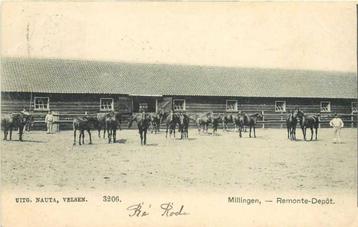 (380-225-013) Milligen Remonte Depot beschikbaar voor biedingen