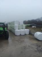 maisbalen 2025, Dieren en Toebehoren, Dierenvoeding, Ophalen, Vee