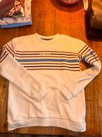 Trui Your Wishes 146/152 - Zeer Goede Staat, Kinderen en Baby's, Kinderkleding | Maat 146, Ophalen of Verzenden, Zo goed als nieuw