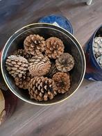 Grote dennenappels!!!, Hobby en Vrije tijd, Knutselen, Ophalen of Verzenden, Materiaal