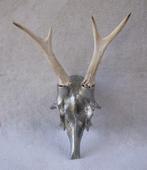 Bijzondere decoratie: Schedel & gewei van een ree, Ophalen of Verzenden, Zo goed als nieuw
