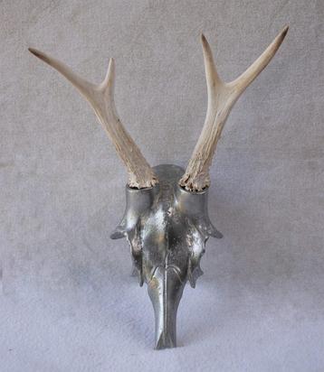 Bijzondere decoratie: Schedel & gewei van een ree beschikbaar voor biedingen
