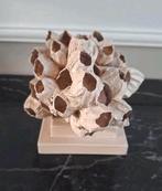 Mooi beige ornament zeepokken cluster vakkenkast chique, Huis en Inrichting, Nieuw, Ophalen of Verzenden, X, X