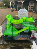 kooi voor dwerghamster met buizenstelsel en verdiepings., Dieren en Toebehoren, Knaagdieren en Konijnen | Hokken en Kooien, Kooi