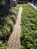 Klinkers tuinpad, Ophalen, Gebruikt, Klinkers, 10 m² of meer