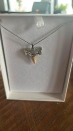 Haaientand ketting, Sieraden, Tassen en Uiterlijk, Ophalen of Verzenden, Nieuw, Zilver