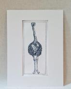 Ets struisvogel met passe partout 30x40 cm, Minder dan 50 cm, Oorspronkelijke maker, Nieuw, Ophalen of Verzenden