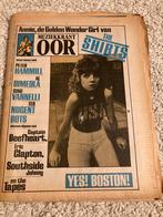 Muziekkrant OOR 1978 SHIRTS Aerosmith CARLSBERG Ted Nugent, Ophalen of Verzenden, Muziek, Film of Tv