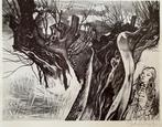 Litho Charles Eyck wilgen langs Geul 1976 gesigneerd, Antiek en Kunst, Kunst | Litho's en Zeefdrukken, Ophalen of Verzenden