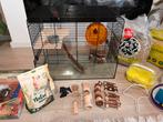 Hamsterkooi met toebehoren, Dieren en Toebehoren, Knaagdieren, Hamster, Juni, Mannelijk, Tam