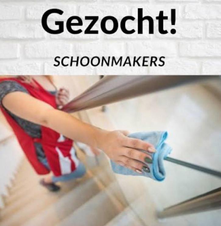 ZZP er gezocht huishoudelijke hulp, Vacatures, Vacatures | Schoonmaak en Facilitaire diensten, Overige niveaus, Starter, Freelance of Uitzendbasis