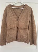 Vest bruin, Ophalen of Verzenden, Zo goed als nieuw, Bruin