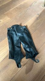 Chaps Ariat Concord maat SM, Dieren en Toebehoren, Paardrijkleding, Ophalen of Verzenden, Zo goed als nieuw, Schoeisel
