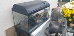 Aquarium met toebehoren  60x40, Dieren en Toebehoren, Vissen | Aquaria en Toebehoren, Ophalen of Verzenden, Zo goed als nieuw