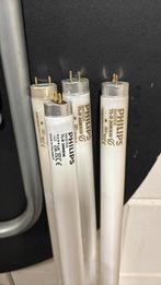 4 tl lampen 120cm en 4 starters, Ophalen, Zo goed als nieuw, Minder dan 50 watt