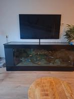 Samsung NEO QLED 65 Inch 65QN93A 2023 nieuwstaat., QLED, 120 Hz, Ophalen of Verzenden, Zo goed als nieuw
