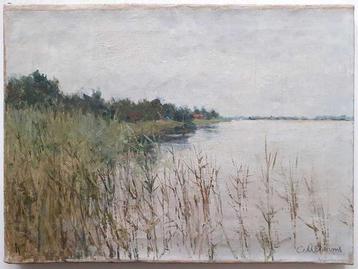 Coenraad Matthias Garms (1863-1944) olie op doek 29x40 cm c3 beschikbaar voor biedingen