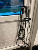 Bitloos hoofdstel Emiel Voest, Ophalen of Verzenden, Gebruikt