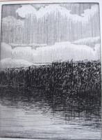 Frans Room - (1938-2023) -  Riet C - ets - 1976 - nr. 9/10, Verzenden