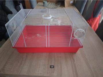 Cavia kooi Kuikenkooi beschikbaar voor biedingen