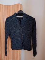 D. Exterior Italiaans jasje maat S, Kleding | Dames, Blauw, D. Exterior, Ophalen of Verzenden, Zo goed als nieuw