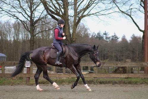Orun 3 Instructrice, Diensten en Vakmensen, Dieren | Paarden | Verzorging, Oppas en Les, Gedragstraining, Paardrijles of Ponykampen