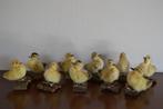 Taxidermie, eenden kuikens / eendjes BLOSSOM BROCANTE, Ophalen of Verzenden, Nieuw