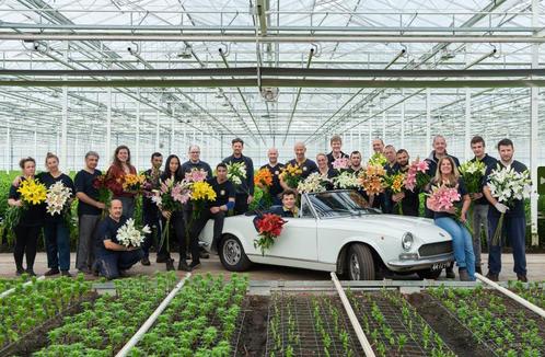 (Junior) Productieleider, Vacatures, Vacatures | Landbouw, Natuur en Milieu, Tijdelijk contract, 33 - 40 uur