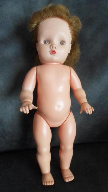 Wildebras pop. 36 cm. beschikbaar voor biedingen
